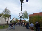 Maibaum_2016 (87).JPG